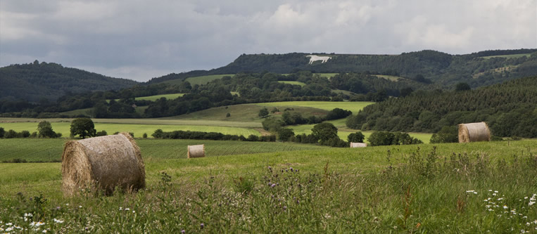 White Horse Kilburn North Yorkshire